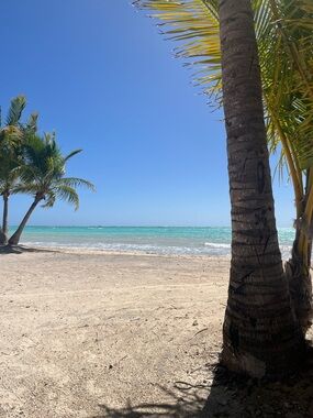 Meet your Posher, NextWearShop